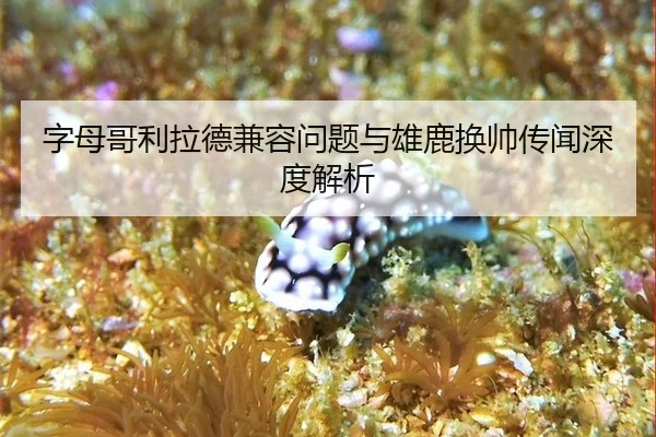 字母哥利拉德兼容问题与雄鹿换帅传闻深度解析