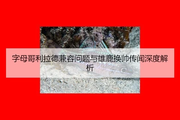 zi-mu-ge-li-la-de-jian-rong-wen-ti-yu-xiong-lu-huan-shuai-chuan-wen-shen-du-jie-xi-3-384.jpg